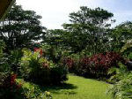 Hohani Hideaway property grounds