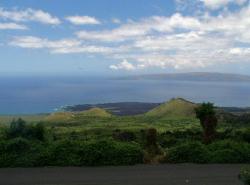 Maui Upcountry View