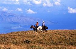 Maui Upcountry View