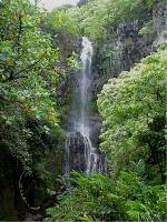 Maui waterfall